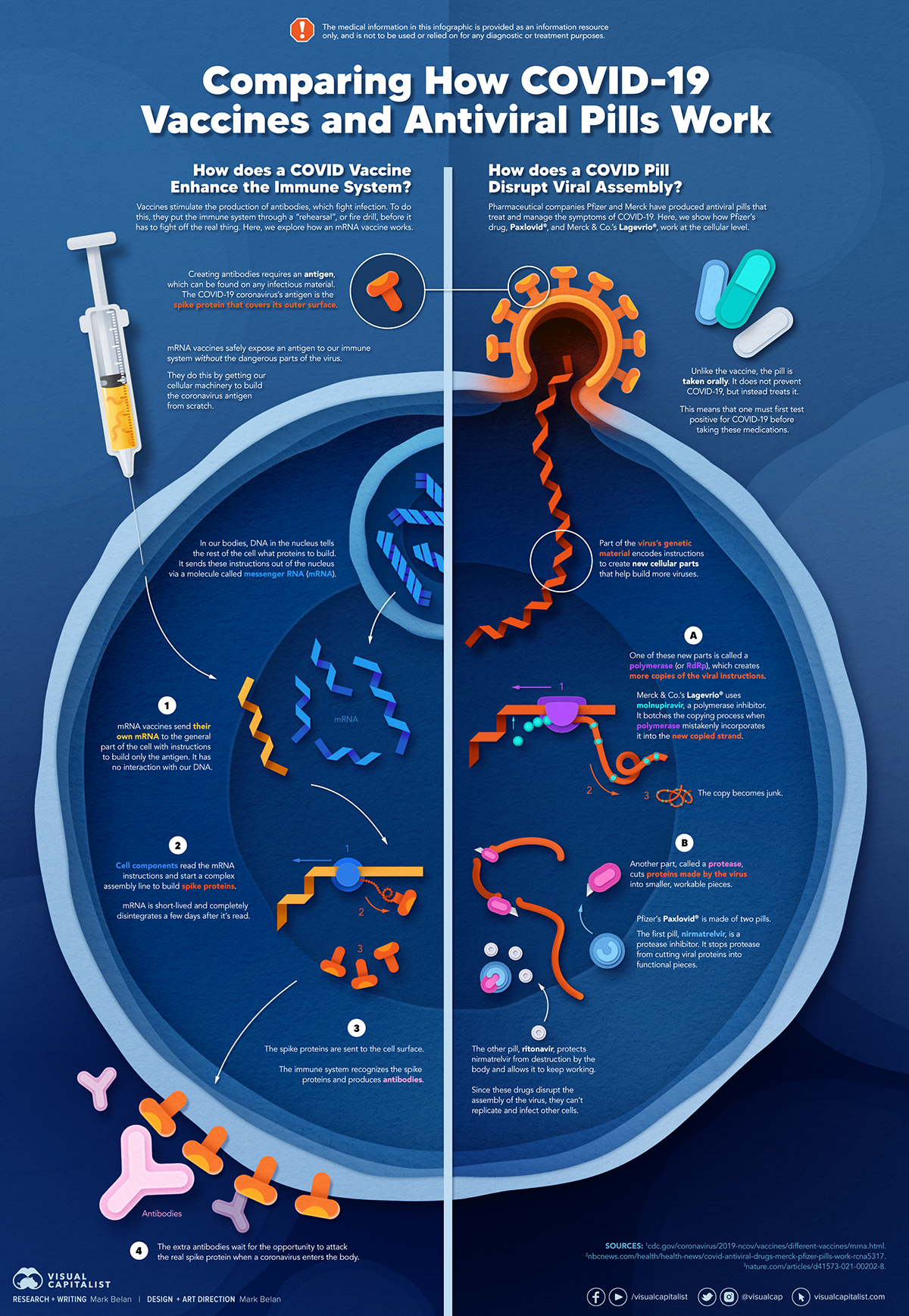 COVID-19 antiviral and vaccine visualization